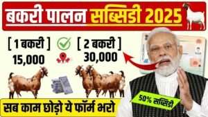 Bakri Palan Loan Yojana 2025