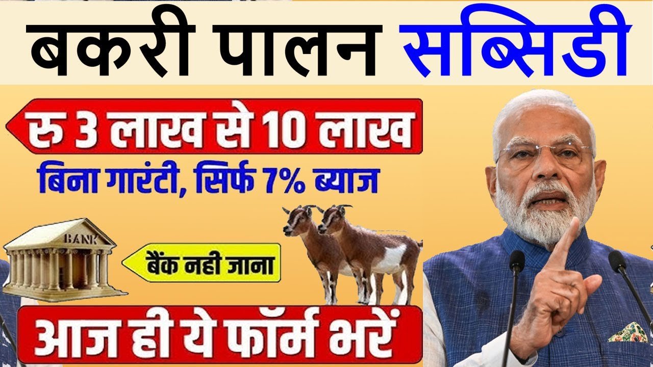 Bakri Palan Business Loan