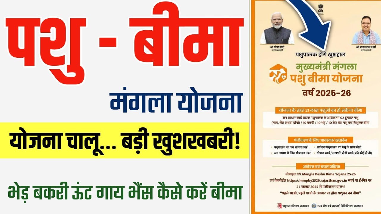 Mangla Pashu Bima Yojana 2025